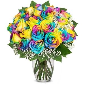 Meet your Posher, Salma